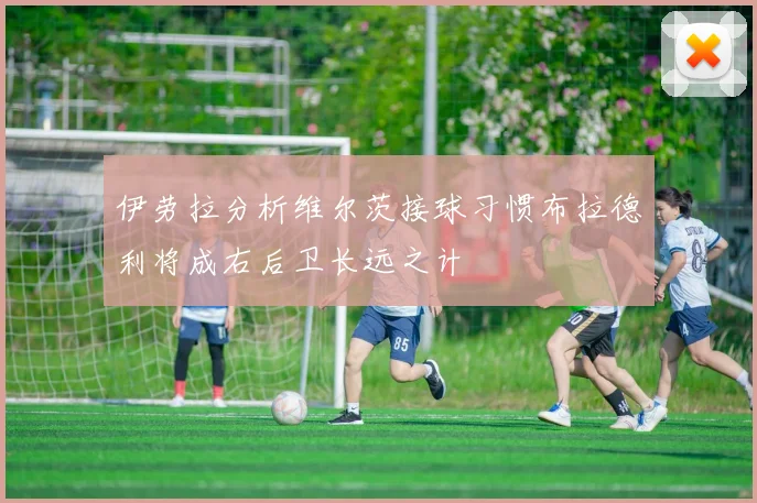 伊劳拉分析维尔茨接球习惯布拉德利将成右后卫长远之计